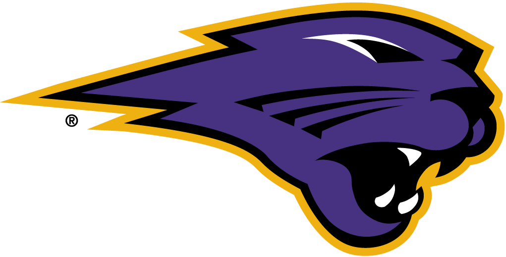 Northern Iowa Panthers 2002-Pres Partial Logo v4 DIY iron on transfer (heat transfer)